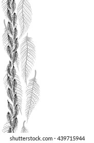Drawing of a seamless border with black line art feathers oin a white background