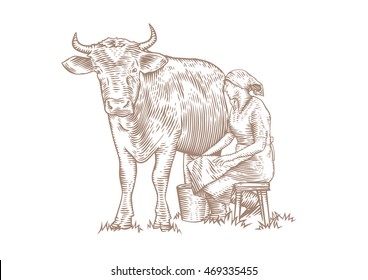 Drawing of a seated milkmaid who milks the cow