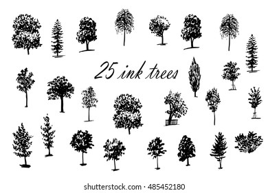 drawing set of 25 trees ink sketch hand-drawn vector illustration