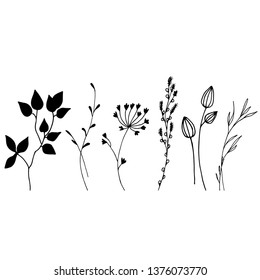Нand drawing set. Botanical vector  illustration. Design elements. Black and white