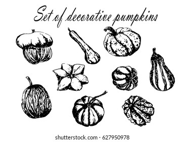 drawing set collection of decorative striped pumpkin sketch hand drawn vector illustration