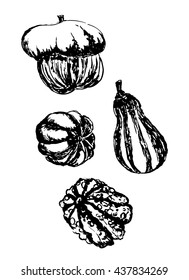 drawing set collection of various decorative striped tykovok sketch hand drawn vector illustration