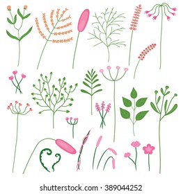 Drawing set of different plants and flowers in hand-drawn for decoration in your designs, grass vector