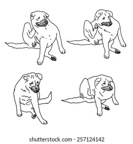 Drawing set of dog scratching itself from itching on white