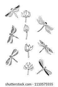drawing a set of dragonflies , hand-drawn vector illustration