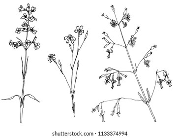 drawing a set of flowers , a sketch of a hand-drawn vector illustration