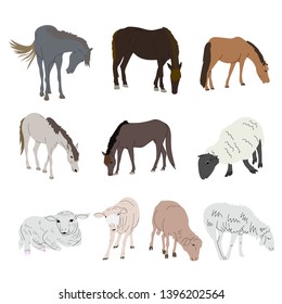 DRawing set of horse and sheep isolated on white background. vector illustration.