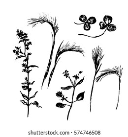 drawing set meadow and field flowers, hand-drawn sketch vector illustration