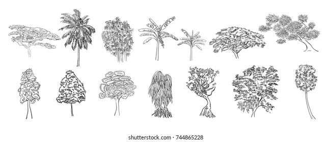 Drawing set of tree on white background,vector illustration