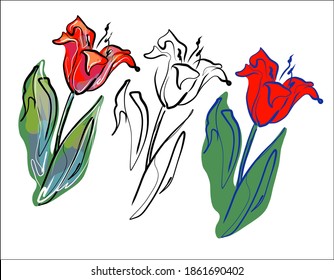 
Drawing Set vector graphics with floral pattern for desig with tulip 