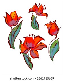 
Drawing Set vector graphics with floral pattern for desig with tulip 