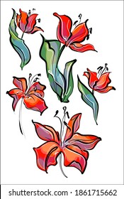 
Drawing Set vector graphics with floral pattern for desig with tulip 