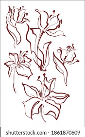 
Zeichnen von Set-Vektorgrafiken mit floralem Muster für das Design mit Tulpe 