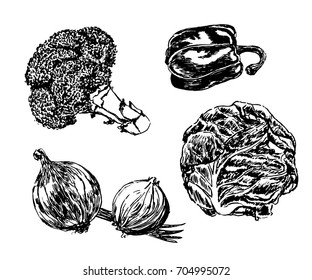 drawing set of vegetables: broccoli, onions, cabbage sketch by hand drawn vector illustration