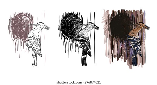 Drawing set of woodpecker bird with hole on tree