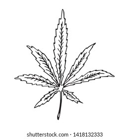 drawing sheet of marijuana vector sketch
