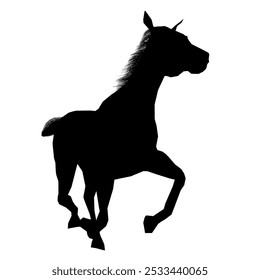 Drawing the silhouette of running horse. Vector illustration