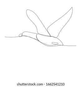 drawing of a single continuous line of seagulls flying