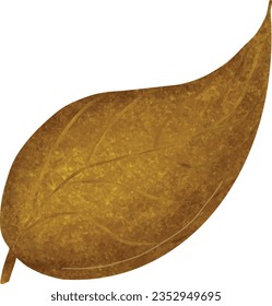 drawing of a single leaf on a white background