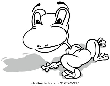 Drawing of a Sitting Frog from the Rear View - Cartoon Illustration Isolated on White Background, Vector