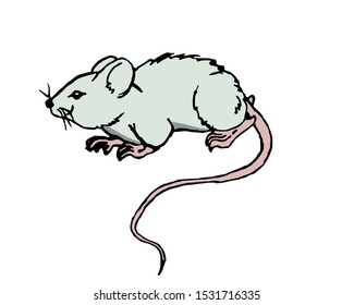 Drawing of a sitting gray mouse with a long tail on a white background