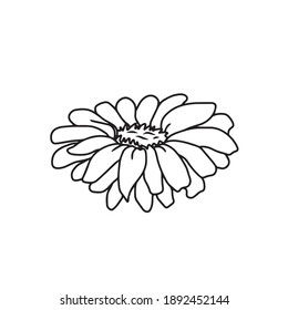Dibujo y dibujo de flores exóticas con arte en línea en blanco y negro. En un fondo blanco.Diseño vectorial para carteles de postales.