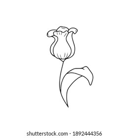 Dibujo y esbozo de una flor con una línea de arte en blanco y negro. En un fondo blanco.Diseño vectorial para carteles de postal.