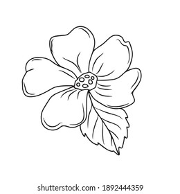 Dibujo y esbozo de una flor con una línea de arte en blanco y negro. En un fondo blanco.Diseño vectorial para carteles de postal.