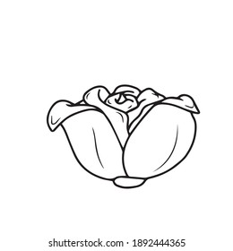 Drawing and sketch of a  flower with a black and white line-art. On a white background.Vector design for postcard banners.