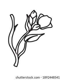Dibujo y esbozo de una flor con una línea de arte en blanco y negro. En un fondo blanco.Diseño vectorial para carteles de postal.