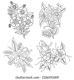 drawing Sketch Flower illustration  vector design