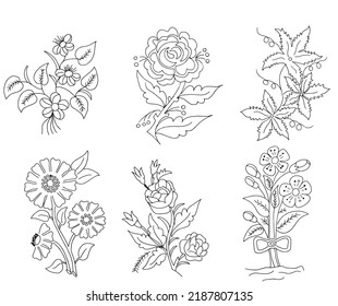 drawing Sketch Flower illustration  vector design