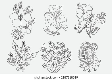 drawing Sketch Flower illustration  vector design