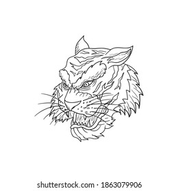 Drawing sketch of head Tiger for your business product like t-shirt, sketchbook, wallpaper, tattoo etc