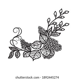 Drawing and sketch of a lilac flower with a black and white line-art. On a white background.Vector design for postcard banners.