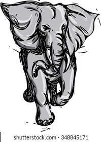 Drawing sketch style illustration of an african elephant rampaging viewed from front on isolated white background.