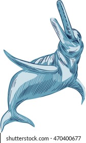 Drawing sketch style illustration of the Amazon River dolphin or boto a widely distributed group of fully aquatic mammals that reside exclusively in freshwater or brackish water isolated background. 