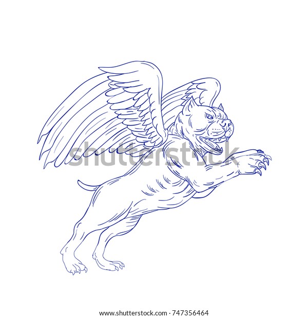 Drawing Sketch Style Illustration American Bully Animals