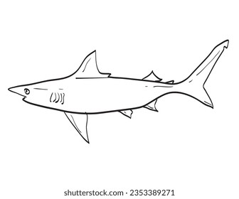 Drawing sketch style illustration of an Atlantic Blacktip Shark or Carcharhinus limbatus fish species native to New England and Mid Atlantic on isolated white background done in cartoon art style.