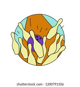 Drawing sketch style illustration of a a bowling ball hitting ten pin strike out  set inside circle on isolated white background.
