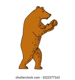 Drawing sketch style illustration of a brown bear, Ursus arctos, grizzly boxer wearing gloves in boxing stance viewed from side.