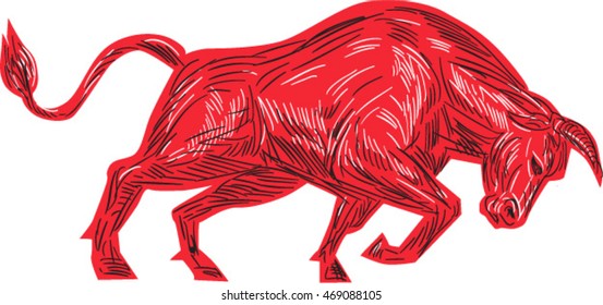 Drawing sketch style illustration of a bull facing attacking charging viewed from the side set on isolated white background. 