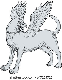 Drawing sketch style illustration of a Chamrosh, a Persian mythology creature with the body of a dog with the head and wings of a bird rather like the Greek Griffin side on isolated white background. 