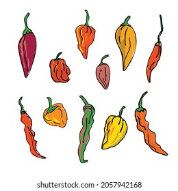 Drawing sketch style illustration of a collection or set of different hot chili peppers on isolated white background.