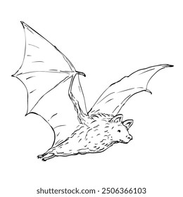 Drawing sketch style illustration of a fruit bat flying to right on isolated background done in black and white ilne art.