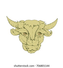 Drawing sketch style illustration of green cow or bull  with head surrounded by or made from leaves viewed from front.