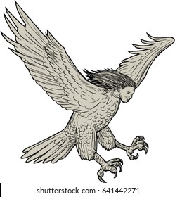 Drawing sketch style illustration of a harpy, in Greek and Roman, mythology, a female bird with a woman's face swooping looking down viewed from the side set on isolated white background. 