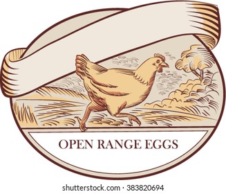 Drawing sketch style illustration of a hen running viewed from the side with farm trees in the background and Open Range Eggs label set inside oval shape. 