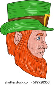 Drawing sketch style illustration of a leprechaun head viewed from the side set on isolated white background.