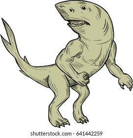 Drawing sketch style illustration of a Nanaue, a mythical creature in Hawaiian Folklore of a humanoid shark with arms and legs looking to the side viewed from front set on isolated white background. 